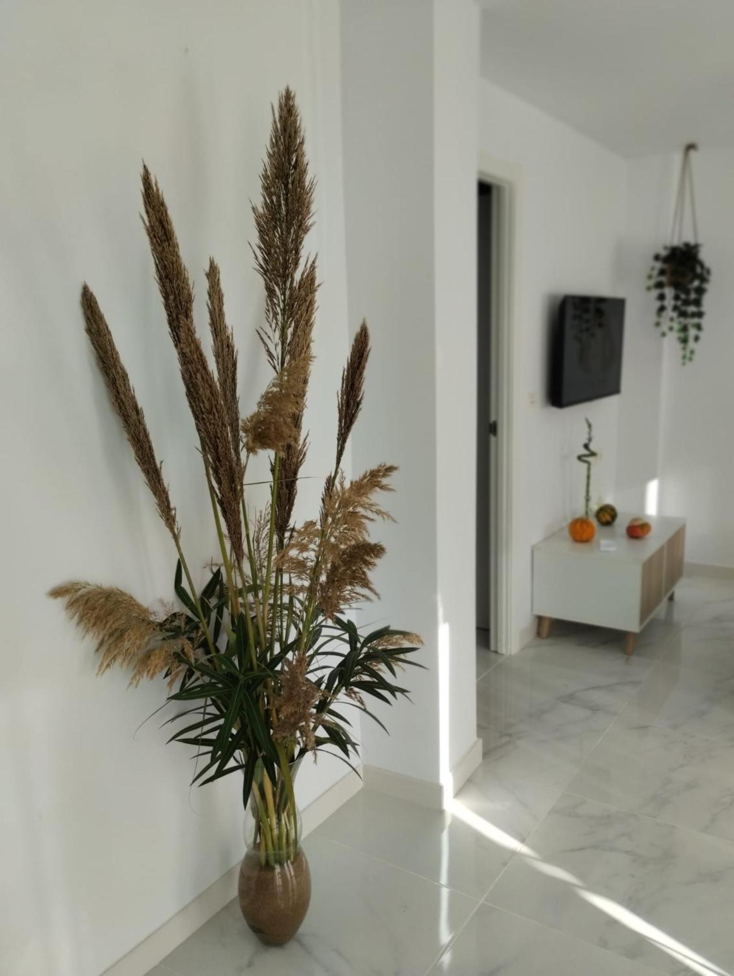 Apartamento Sun Gate Jerez de la Frontera Dış mekan fotoğraf